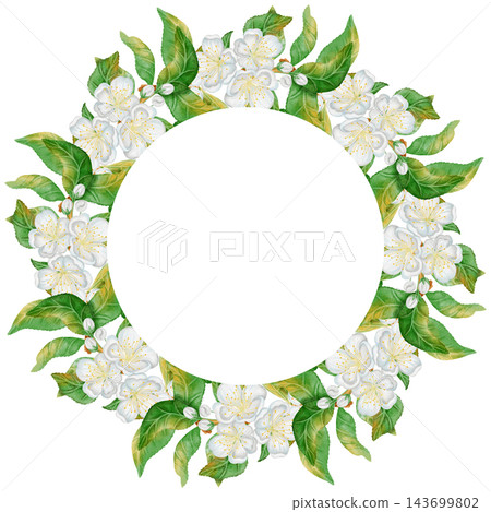 Watercolor plum blossom wreath with white flowers and fresh green leaves isolated on white background. Perfect for product logo, market posters, textile, wedding invitation, label, card Watercolor plum blossom wreath with white flowers and fresh green leaves isolated on white background. Perfect for product logo, market posters, textile, wedding invitation, label, card 143699802