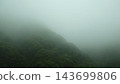 A mystical mountain landscape shrouded in thick fog and lush green forests. 143699806