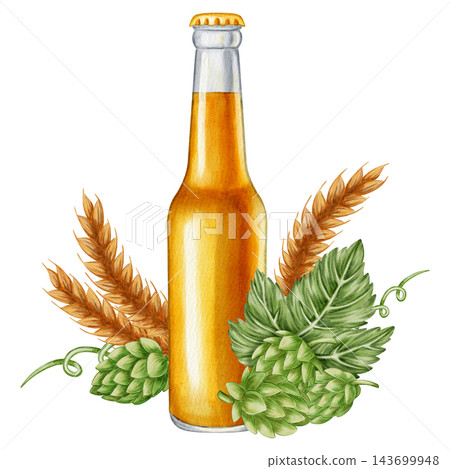 Watercolor illustration craft beer compositions with glass, mug, bottle, can, hops, and wheat isolated on white background. Perfect for bar, menu, pub decor, Oktoberfest festival or packaging Watercolor illustration craft beer compositions with glass, mug, bottle, can, hops, and wheat isolated on white background. Perfect for bar, menu, pub decor, Oktoberfest festival or packaging 143699948
