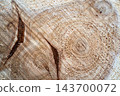 Wood log cross section close up with tree rings and saw marks 143700072
