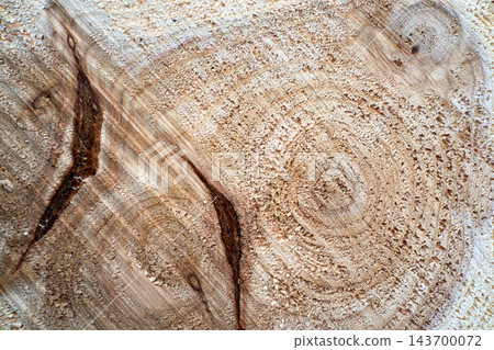 Wood log cross section close up with tree rings and saw marks Wood log cross section close up with tree rings and saw marks 143700072