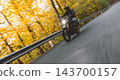 Motorcyclist wearing a black helmet and dark riding gear approaching the camera on a winding asphalt road through a sunlit green and golden autumn forest, with dynamic motion blur. 143700157