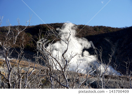 藍天下,火山地區升騰起白色的蒸氣柱。 藍天下,火山地區升騰起白色的蒸氣柱。 143700409