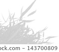 Natural light casts shadows from willow branches on a white background. Mockup 143700809