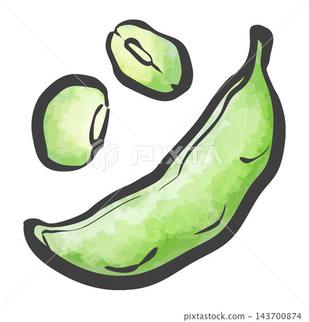 Hand-drawn brushstroke style illustration of edamame Hand-drawn brushstroke style illustration of edamame 143700874