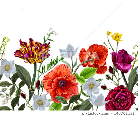 Lush Colorful Roses Poppies Tulips and Wildflowers Botanical Border on White Background Design 143701151