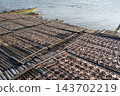 Drying fish on traditional floating house, Lake Tempe, Indonesia 143702219