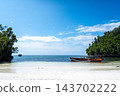 Traditional boat on Lia beach, Waleakodi Island, Togian archipelago, Sulawesi, Indonesia 143702222