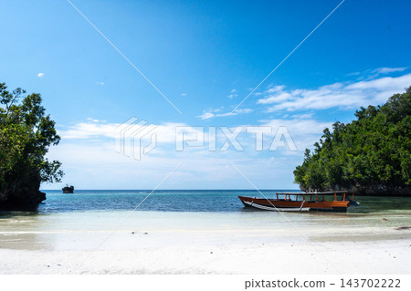 Traditional boat on Lia beach, Waleakodi Island, Togian archipelago, Sulawesi, Indonesia Traditional boat on Lia beach, Waleakodi Island, Togian archipelago, Sulawesi, Indonesia 143702222