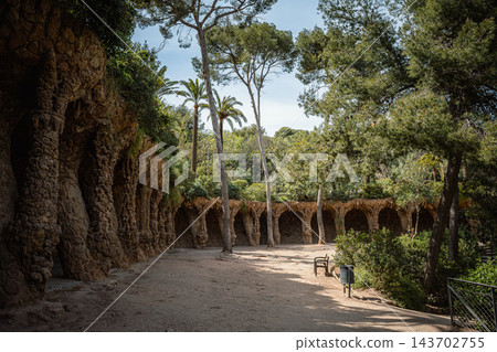 Gaudi stone arcade and shaded clearing with pine trees and bench in Park Guell Barcelona Gaudi stone arcade and shaded clearing with pine trees and bench in Park Guell Barcelona 143702755