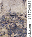 Layered Sedimentary Rock Texture With Dark Geological Patterns 143704984
