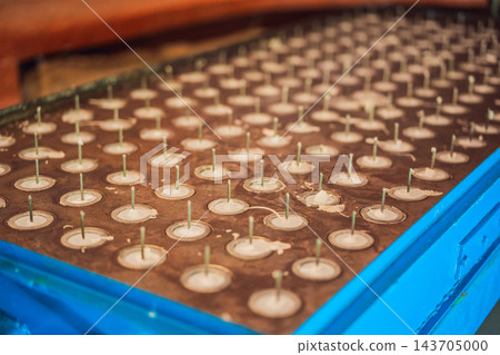 Rows of metal candle holders with wax remnants in a devotional display. 143705000