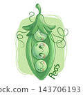 Cute hand-drawn vector pea pod character with handwritten text. Kawaii style, green palette, outline. Perfect for social media, merch, web design, posters. Vector illustration 143706193