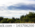 A natural landscape with tall grass in the foreground, a forest edge, and a cloudy sky. 143706200