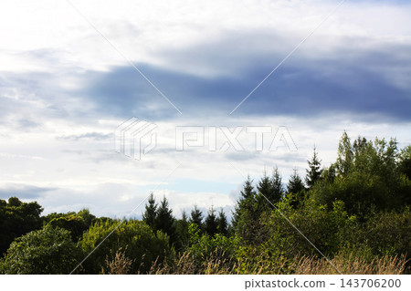 A natural landscape with tall grass in the foreground, a forest edge, and a cloudy sky. A natural landscape with tall grass in the foreground, a forest edge, and a cloudy sky. 143706200