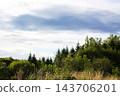A natural landscape with tall grass in the foreground, a forest edge, and a cloudy sky. 143706201