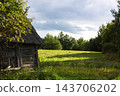 A natural landscape with tall grass in the foreground, a forest edge, and a cloudy sky. 143706202
