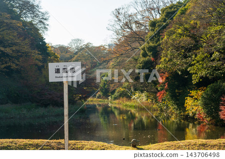 東京千代田區，皇宮內，秋色斑斕的樹木環繞著道幹堀護城河。 143706498