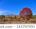 大楓木和Norikura山 143707091