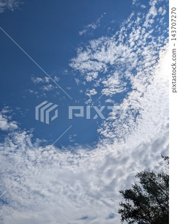 秋天的藍天白雲 秋天的藍天白雲 143707270