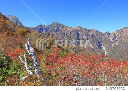 從白馬五龍的富尾嶺健行步道上可以欣賞到山景。 從白馬五龍的富尾嶺健行步道上可以欣賞到山景。 143707352