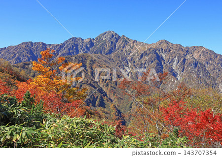 從白馬五龍的富尾嶺健行步道上可以欣賞到山景。 從白馬五龍的富尾嶺健行步道上可以欣賞到山景。 143707354