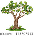 Blooming Cherry Tree Vector Illustration on White Background 143707513