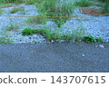 瀝青路與鋪滿碎石的空地之間用安全繩隔開的邊界（房地產/道路邊界圖） 143707615