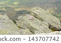 Weathered please keep off sign on lichen covered granite rocks overlooking a forested mountain landscape from a rugged summit 143707742