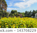 Early autumn park 143708229