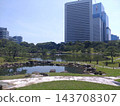 Urban garden scenery 143708307