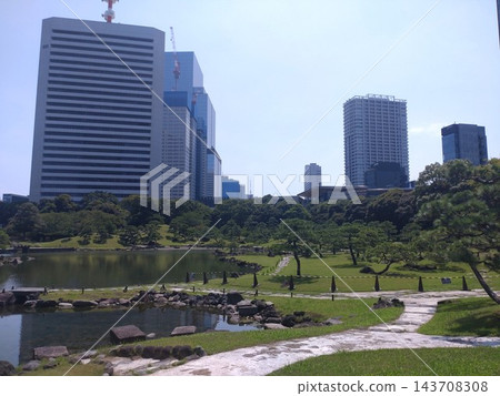 城市花園景色 143708308