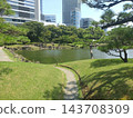 Urban garden scenery 143708309