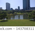 Urban garden scenery 143708311