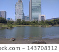 Urban garden scenery 143708312