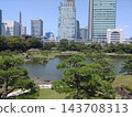 Urban garden scenery 143708313