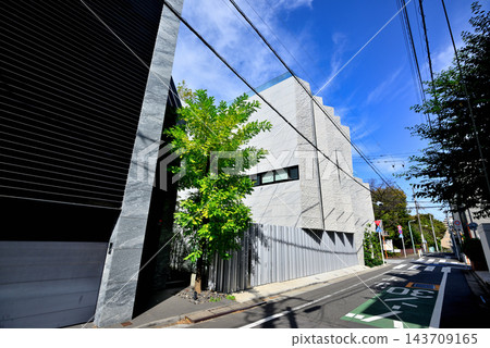 東京都澀谷區大山町:一個安靜的高級住宅區,橫跨德川山地區。 東京都澀谷區大山町:一個安靜的高級住宅區,橫跨德川山地區。 143709165