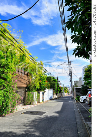 東京都澀谷區大山町:一個安靜的高級住宅區,橫跨德川山地區。 東京都澀谷區大山町:一個安靜的高級住宅區,橫跨德川山地區。 143709168