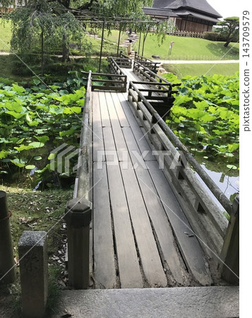 一座木橋橫跨荷花池,窗外是鬱鬱蔥蔥的日式庭園景色。 一座木橋橫跨荷花池,窗外是鬱鬱蔥蔥的日式庭園景色。 143709579