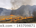 Controlled burning for environmental conservation in Tadehara Marshland, Oita Prefecture 143709871