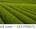 Yame Central Tea Plantation, Fukuoka Prefecture 143709872