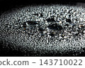 Morning Dew Pure water droplets on a dark surface tension. Water drops rolling off waterproof coating surface tension physics detail clean background, Macro Photography 143710022