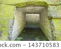 A tunnel of moss-covered stones 143710583