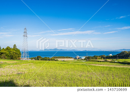 從滋賀縣大津市福谷的梯田上眺望琵琶湖 143710699