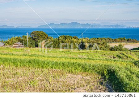 從滋賀縣大津市福谷的梯田上眺望琵琶湖 從滋賀縣大津市福谷的梯田上眺望琵琶湖 143710861