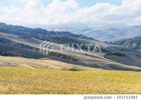 Panoramic view of the typical landscape of the Marche region, Italy. Panoramic view of the typical landscape of the Marche region, Italy. 143711065