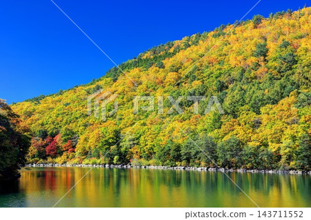 琵琶池的秋天 琵琶池的秋天 143711552