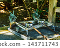 The water basin of the Eight Great Dragon Kings and Water Gods, watched over by the Dragon God. 143711743