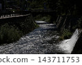 櫻花花瓣流動的河流 143711753