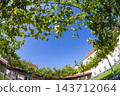 Seminary Garden historic Franciscan monastery garden in Sankt Polten, Austria 143712064